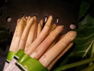 아스파라거스
