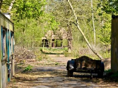 Gebäude überwuchert in einem Wald