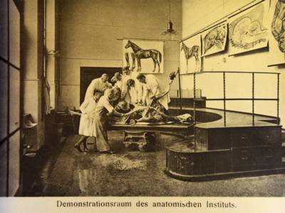 Demonstration room at the anatomical institute