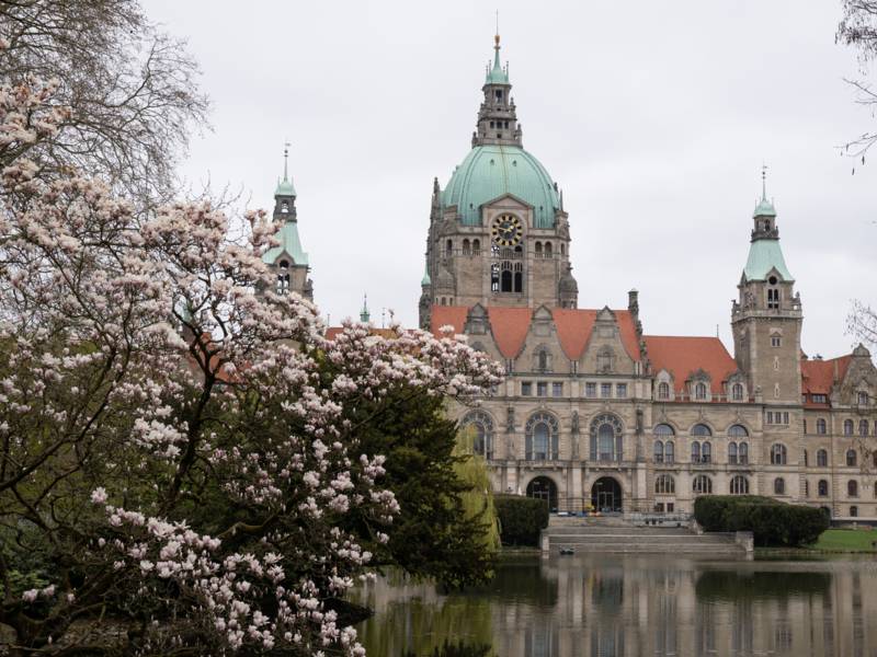 Rückseite des Neuen Rathauses