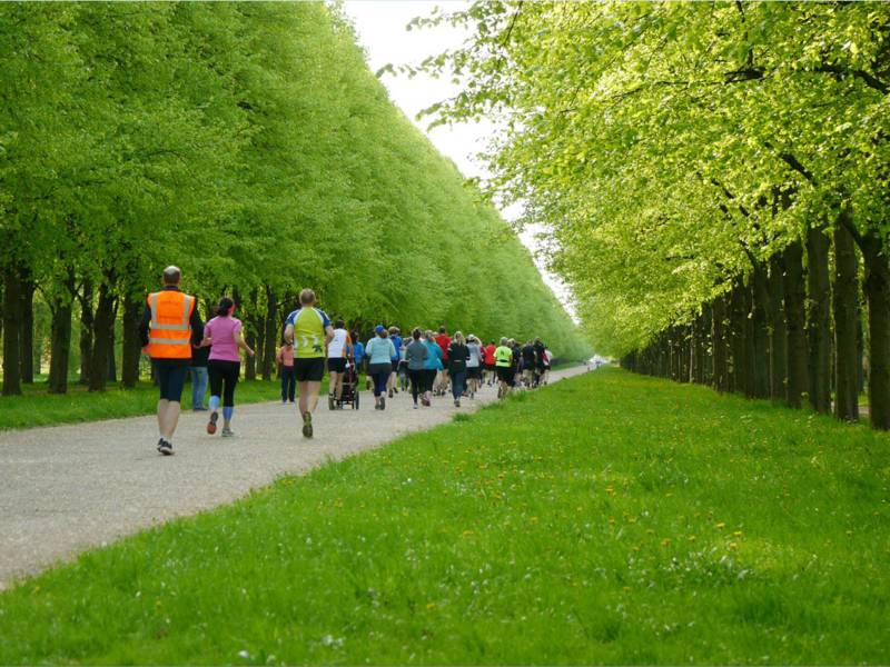 L&auml;ufer laufen gemeinsam im Park
