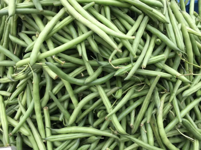 Beans.