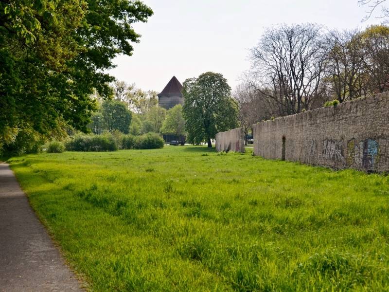 Alte Mauer mit Wiese