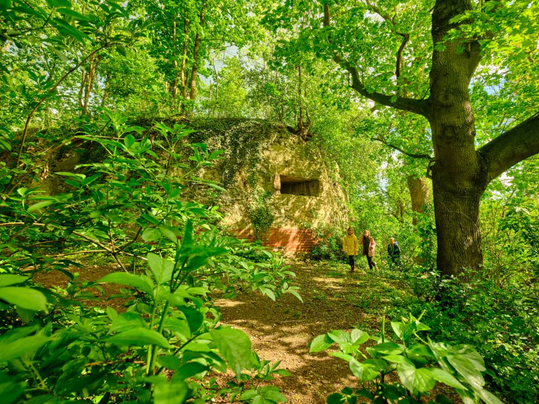 Die Feste Calenberg Calenberger Land Urlaubsregion Sightseeing