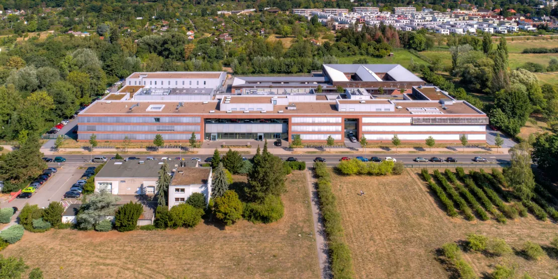 Veterinærhøjskolen i Hannover
