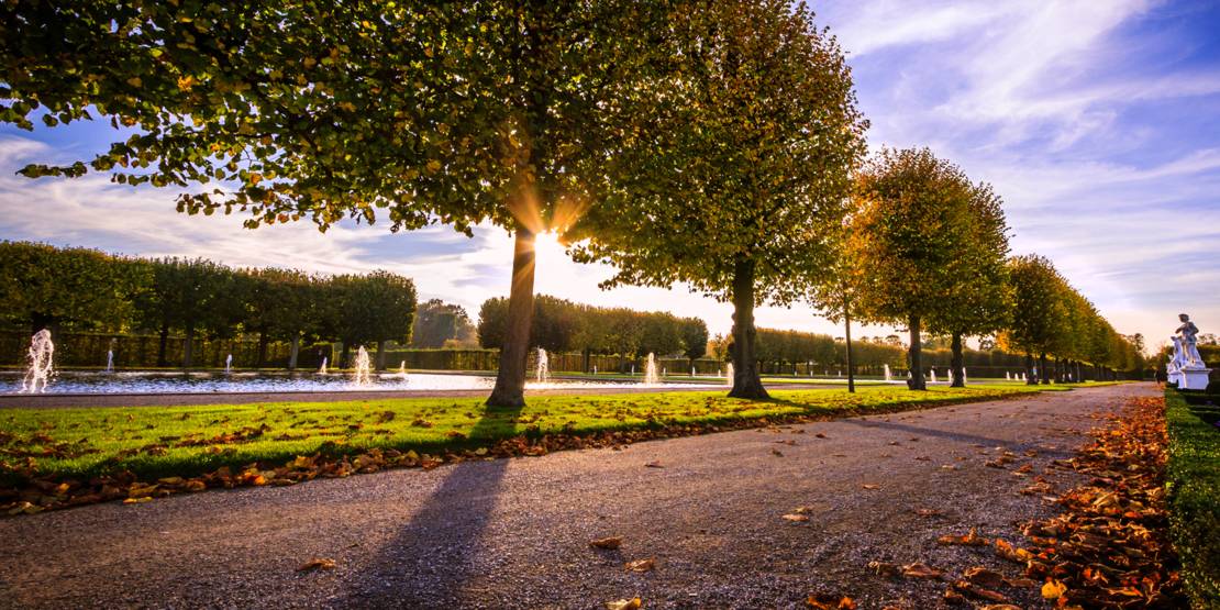 Avenida en un parque, fuente al fondo.