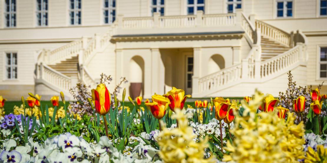 Herrenhausens haver om foråret