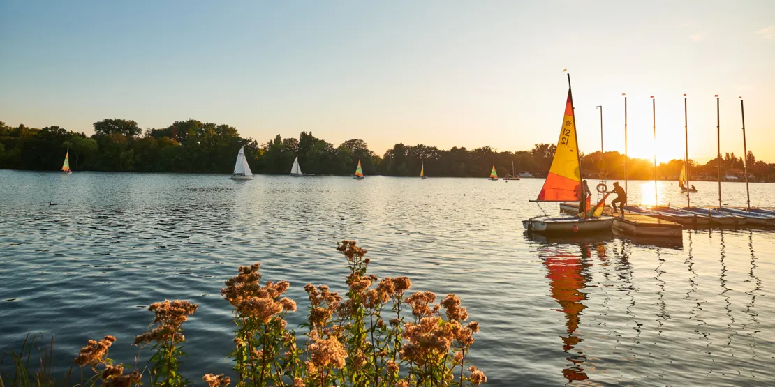 Segelboote auf dem Maschsee bei Sonnenuntergang