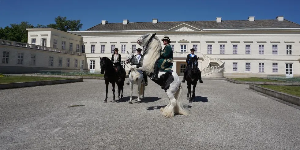 Fyrverkerier-Herrenhausen