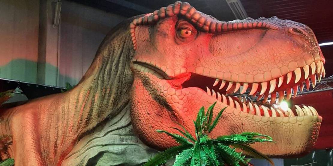 Eine lebensgroße Nachbildung eines Tyrannosaurus Rex'