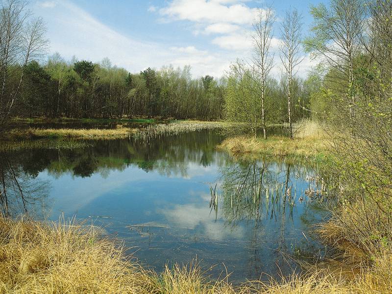 Moore Urlaubsregion Sightseeing Hannover.de