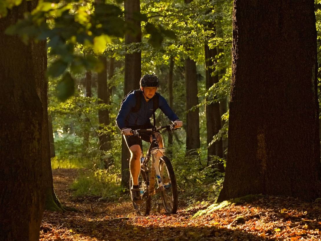 Mountainbiken in Hannover | Tips voor Uitstapjes | Actief | Hannover beleven