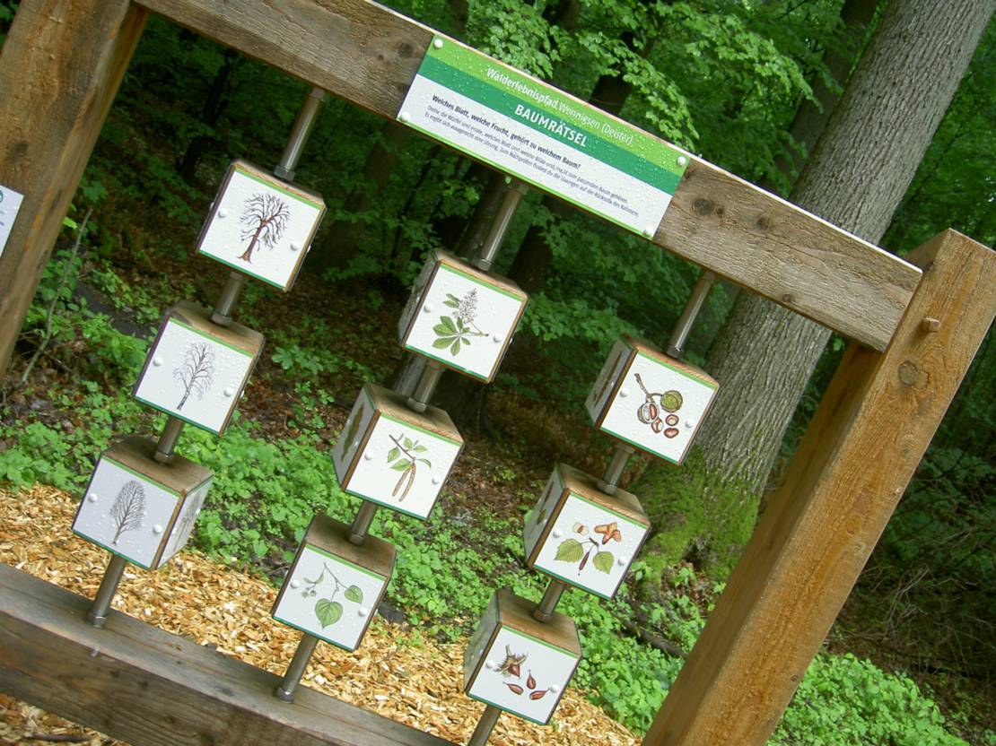 Walderlebnispfad und Natur-Rätsel-Pfad | Wennigsen | Kommunen ...