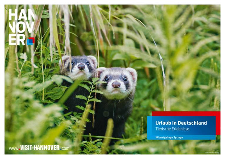 Urlaub in Deutschland: Tierische Erlebnisse