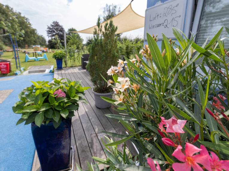 Diverse Pflanzen in Kübeln auf einer Holzterrasse