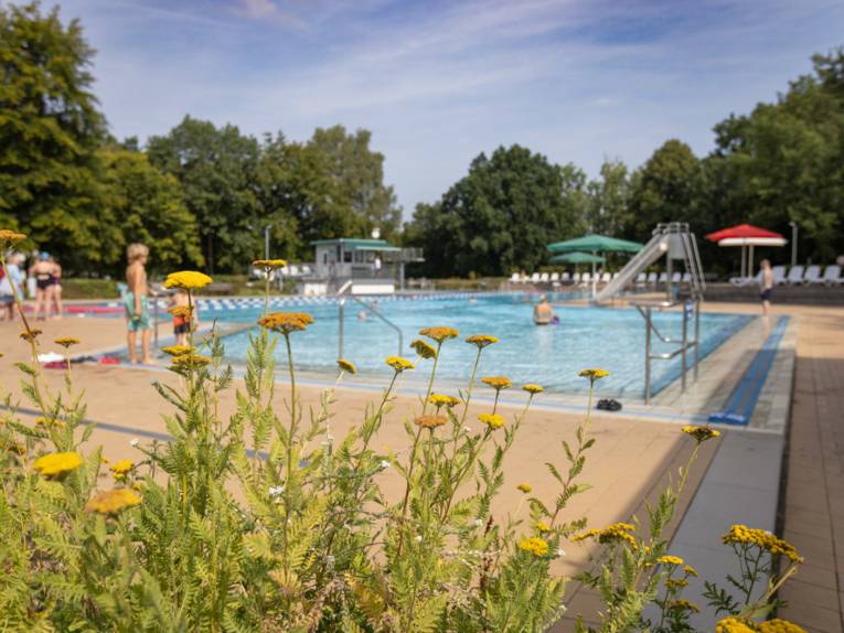 Blick durch Pflanzen auf das Schwimmbecken