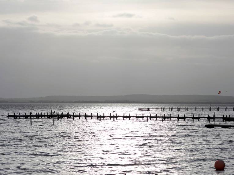 Ein Steg führt ins Steinhuder Meer, Vögel sitzen darauf. Im Hintergrund sind Sporttreibende auf dem Wasser.