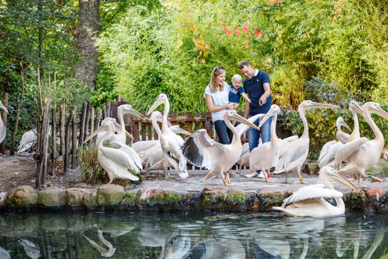 Erlebnis-Zoo Hannover