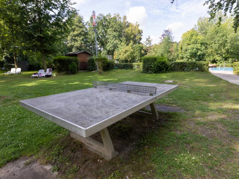 Tischtennisplatte mit Rasenfläche und Liegestühlen, im Hintergrund ein Schwimmbecken