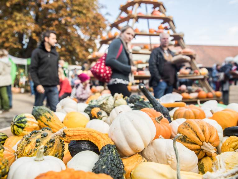 Kürbisse bei einem Fest.