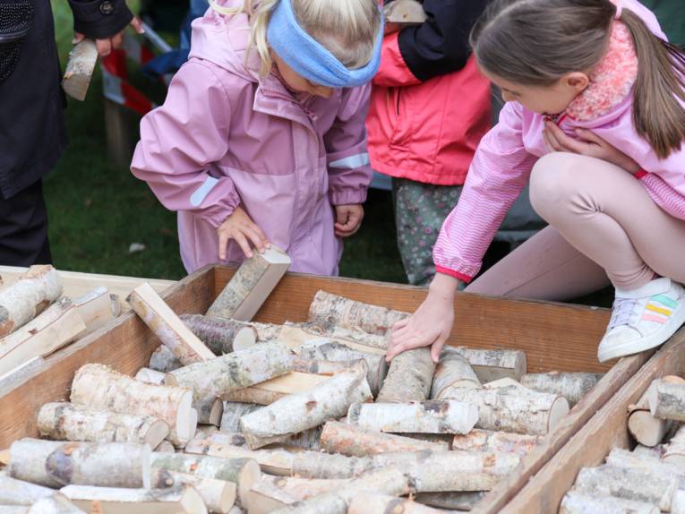 Kinder an einer Kiste mit Holzscheiten.
