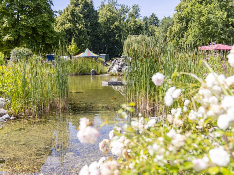 Flacher Wasserbereich mit Schilf, im Hintergrund ein buntes Zeltdach