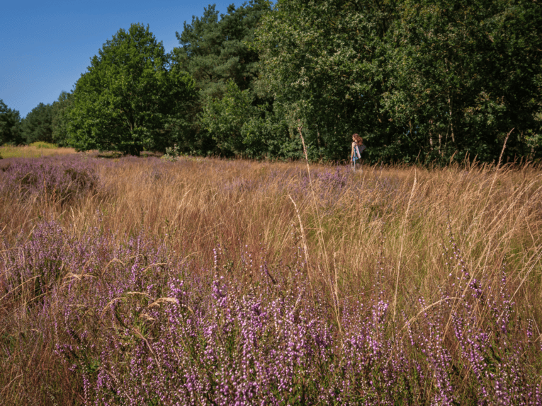 Percorso naturalistico-didattico del Brelinger Berg