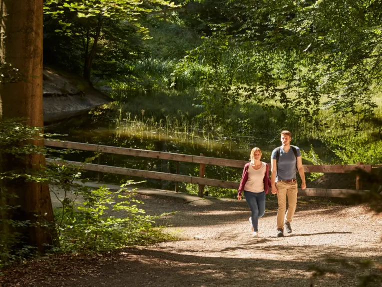 Hiking in the Deister