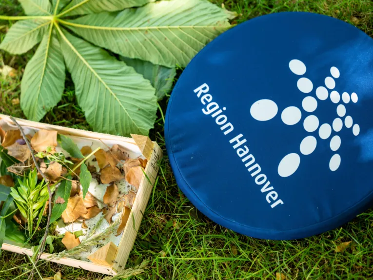 Een blauw zitkussen met het logo van de regio Hannover ligt in het groen naast een kist met natuurlijke materialen