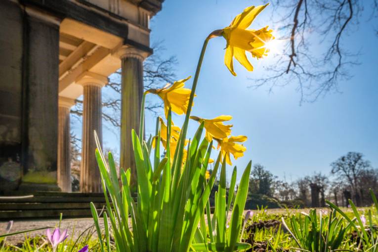 Frühling in Herrenhausen