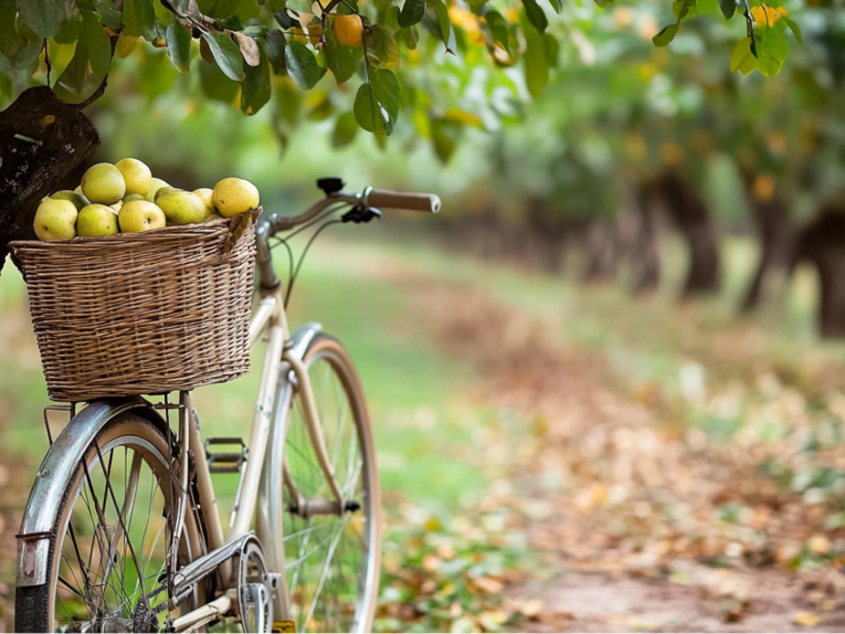 Iss, was um die Ecke wächst