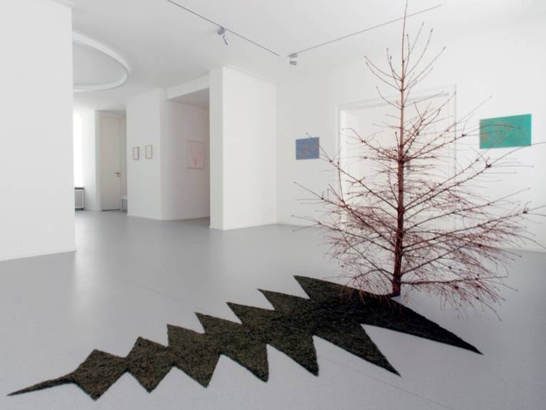 Zu sehen ist eine Kunstinstallation von Alex Fischer: Ein Nadelloser Tannenbaum wirft einen Schatten, der grob ist und nicht zur delikaten Tannenform zu passen scheint.