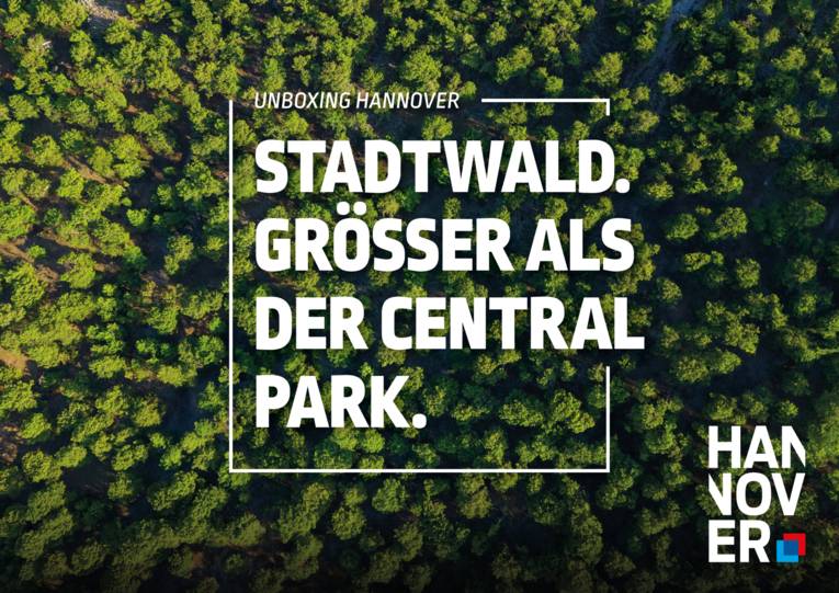 Stadtwald Eilenriede