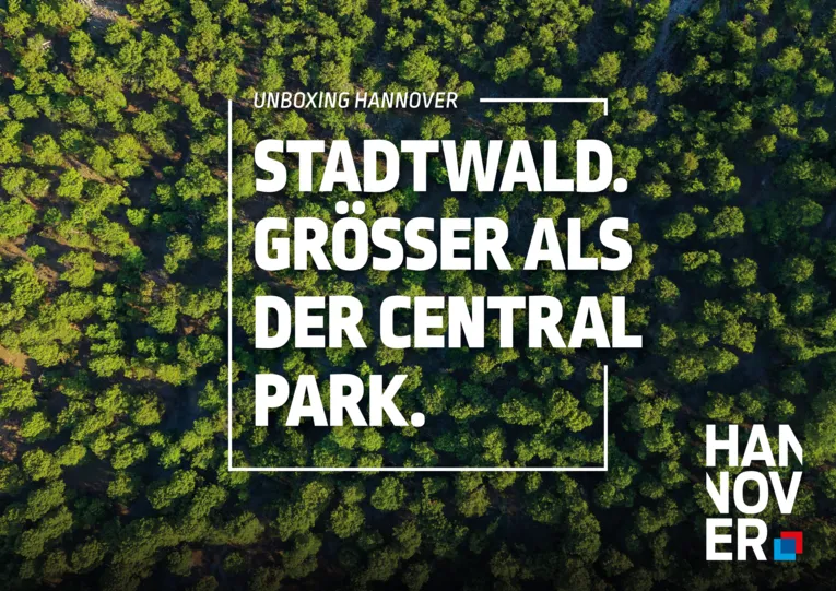 Stadtwald Eilenriede