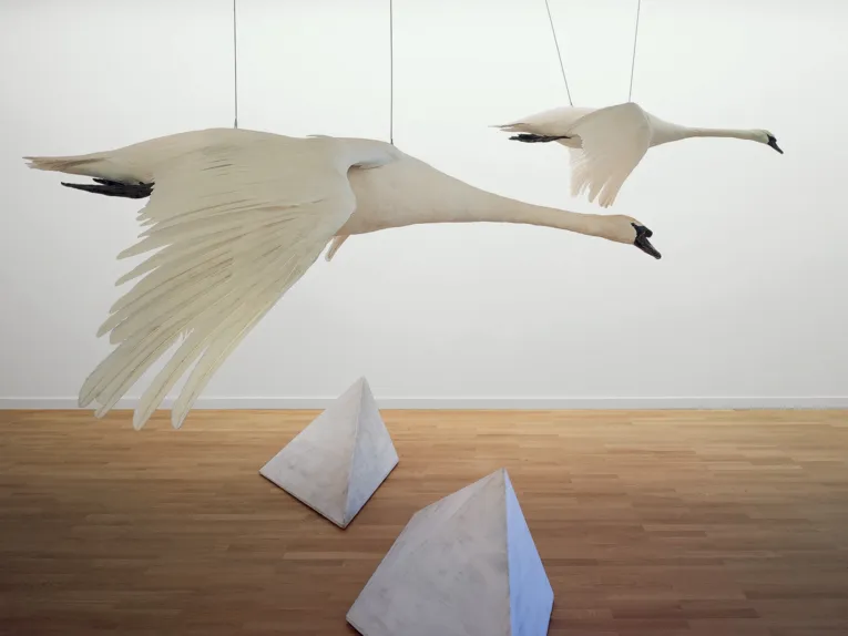 On peut y voir une installation artistique de Christiane Möbus : deux figures de cygnes sont fixées au plafond et on a l'impression que les pyramides de béton volent.