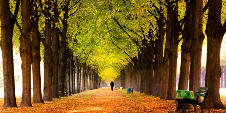 Jalutuskäik Georgengarteni allee sügislehtede vahel.