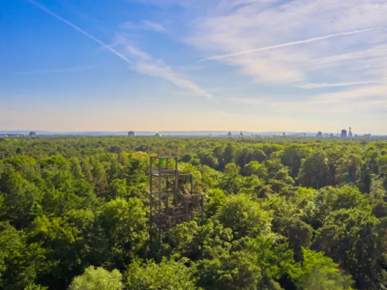 De Eilenriede vanuit de lucht