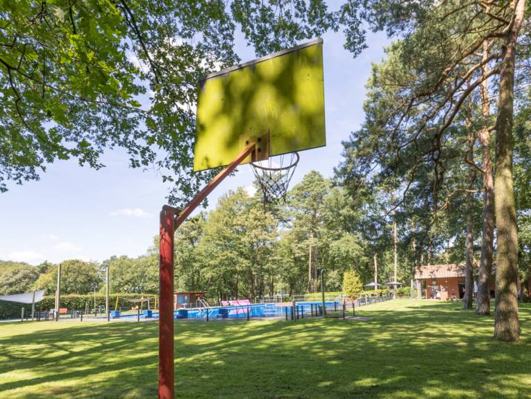 Basketballkorb, der auf dem Rasengel&auml;nde eines Freibades steht, das Schwimmbecken ist im Hintergrund zu sehen.