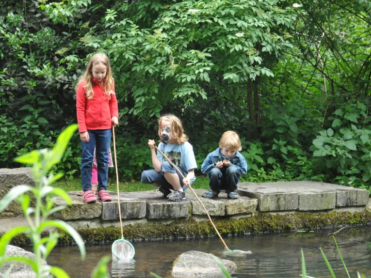 Drei Kinder keschern an einem Teich