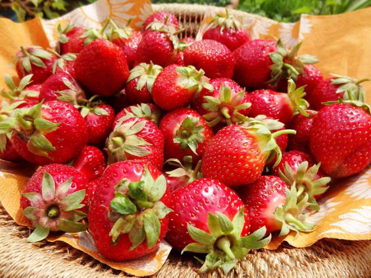 Blick auf Erdbeeren.