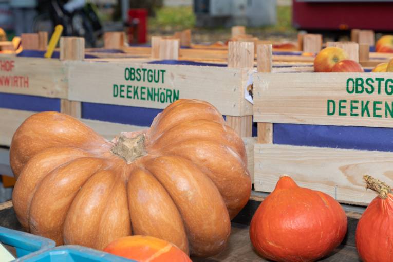 Kürbisse und Äpfel  werden auf dem Wochenmarkt angeboten.