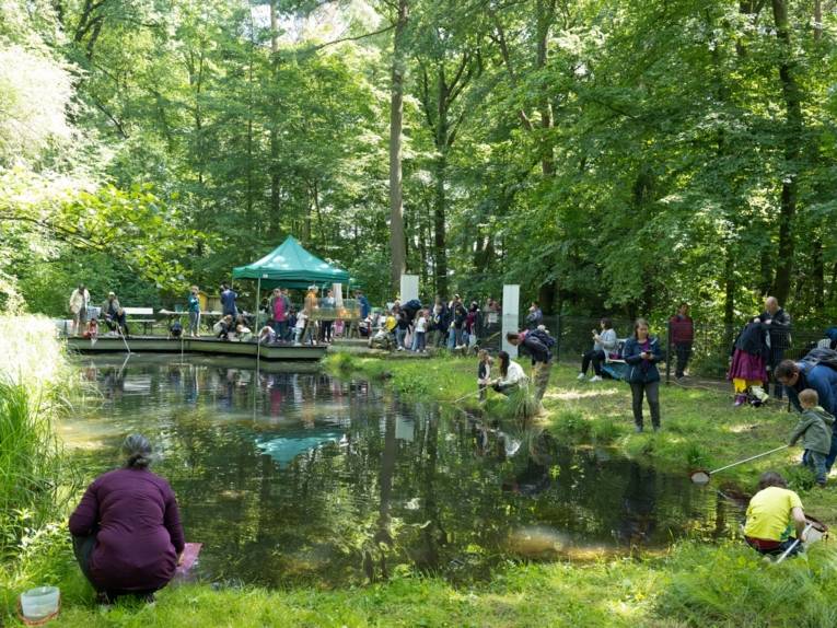 Keschern an einem Tümpel in der Waldstation.