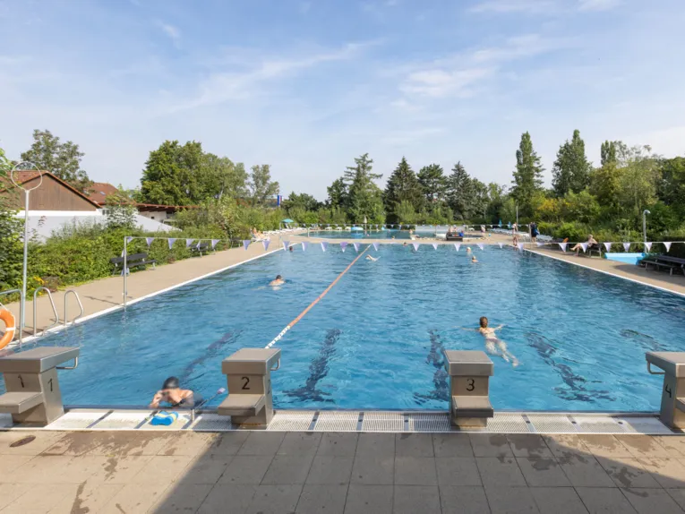 Schwimmbecken mit Startbl&ouml;cken