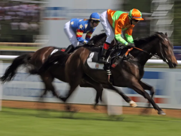 Neue Bult racecourse
