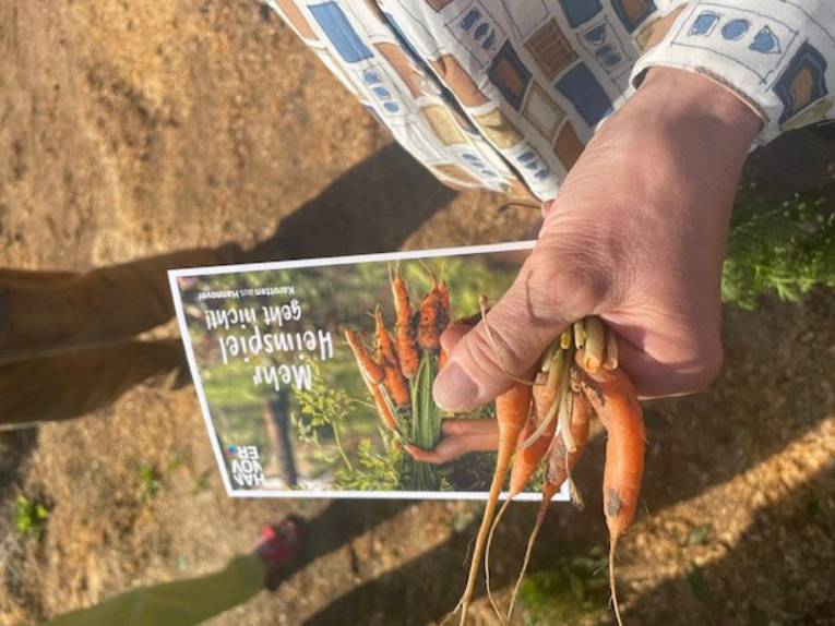 Ein Teller voll Essen.