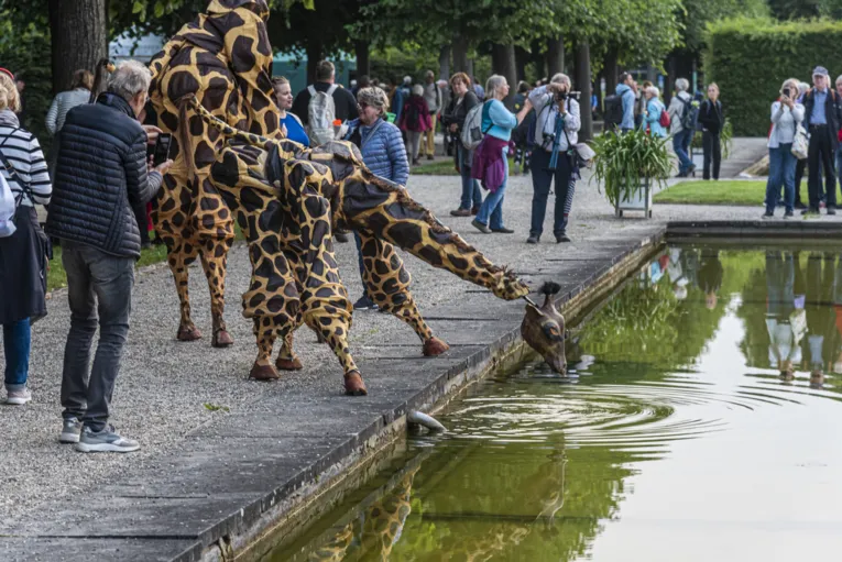 Teatro Pavana_Giraffe på den lilla festivalen i Herrenhausens trädgårdar