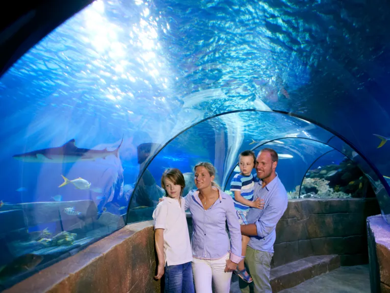 Una famiglia si trova nel tunnel di vetro di un acquario. Squali e pesci nuotano sopra di loro nell'acqua blu.