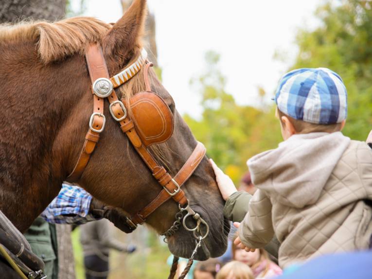 Ein Kind, das ein Pferd streichelt.