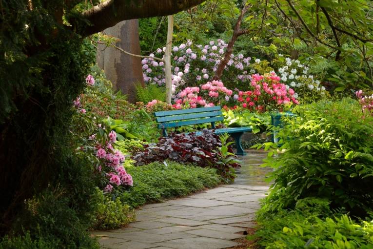 Paradies im Berggarten