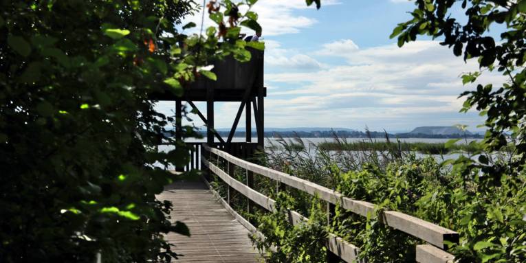 Blick vom Steg auf einen Aussichtsturm am Steinhuder Meer.